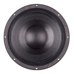 Powerful neodymium LF driver